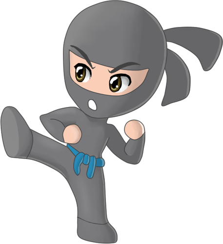 Web Design Ninja Dude